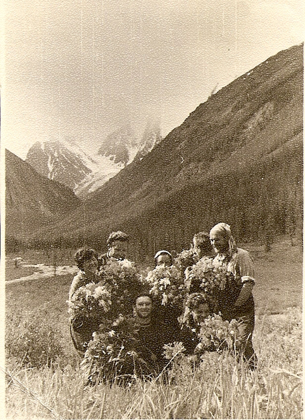 У подножья гор растут альпийскии цветы Алтая 
