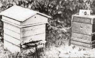Прибор для получения пчелиного яда с блоком питания от сети